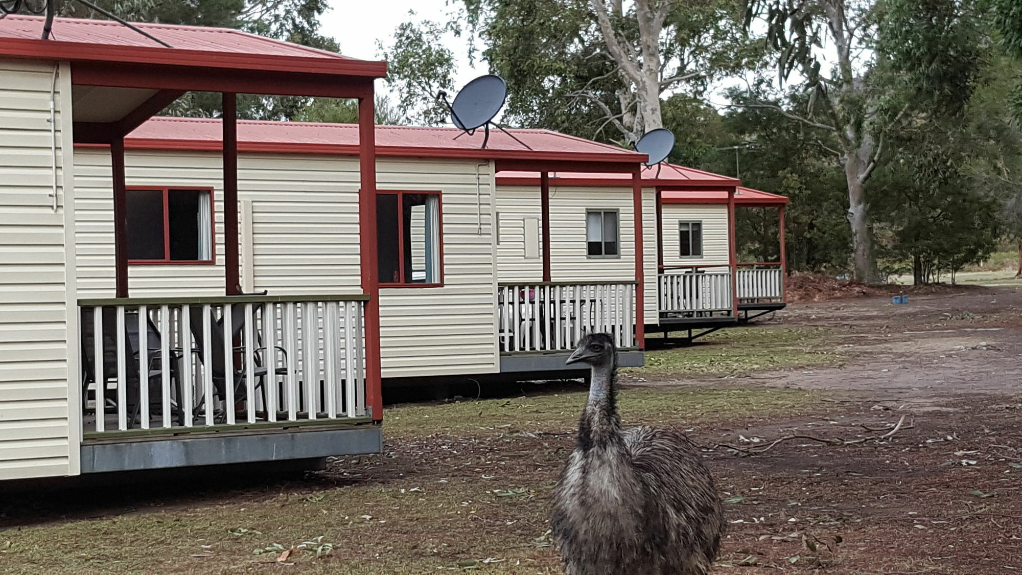Breeze Holiday Parks - Grampians Halls Gap Dış mekan fotoğraf